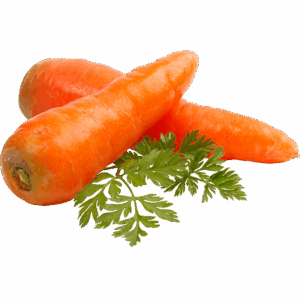 Organic Carrot