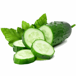 Organic Cucumber